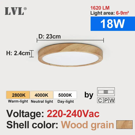 Modern LED Ceiling Light