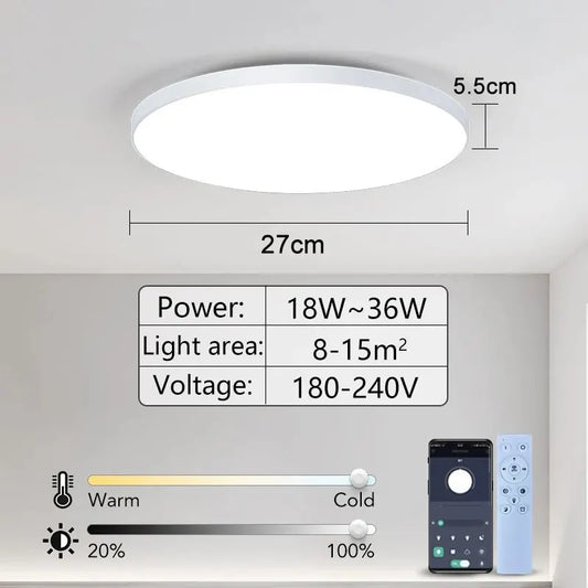 Smart LED Ceiling Lamp