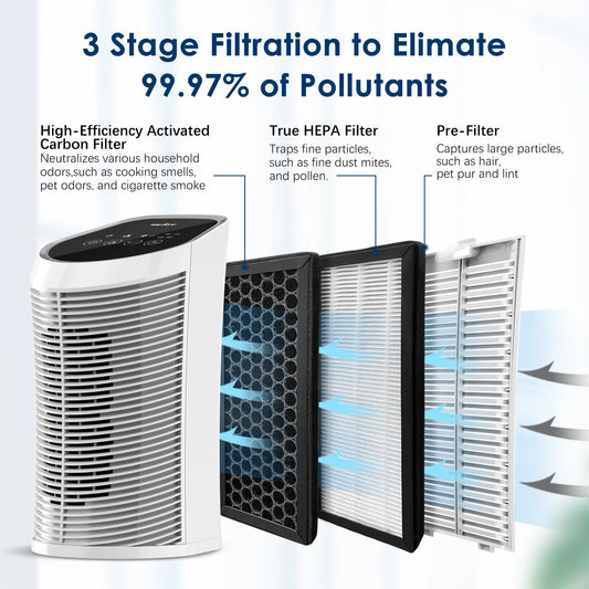 Sejoy Air Purifier with HEPA Filter