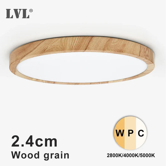 Modern LED Ceiling Light