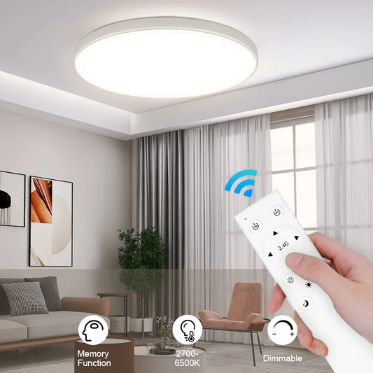 Remote Control LED Ceiling Lamp